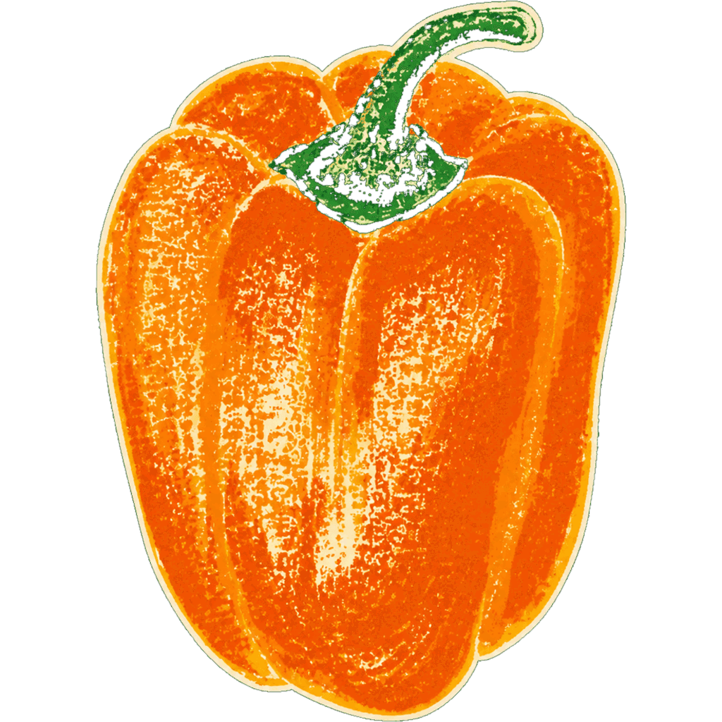 Illustration of an orange bell pepper